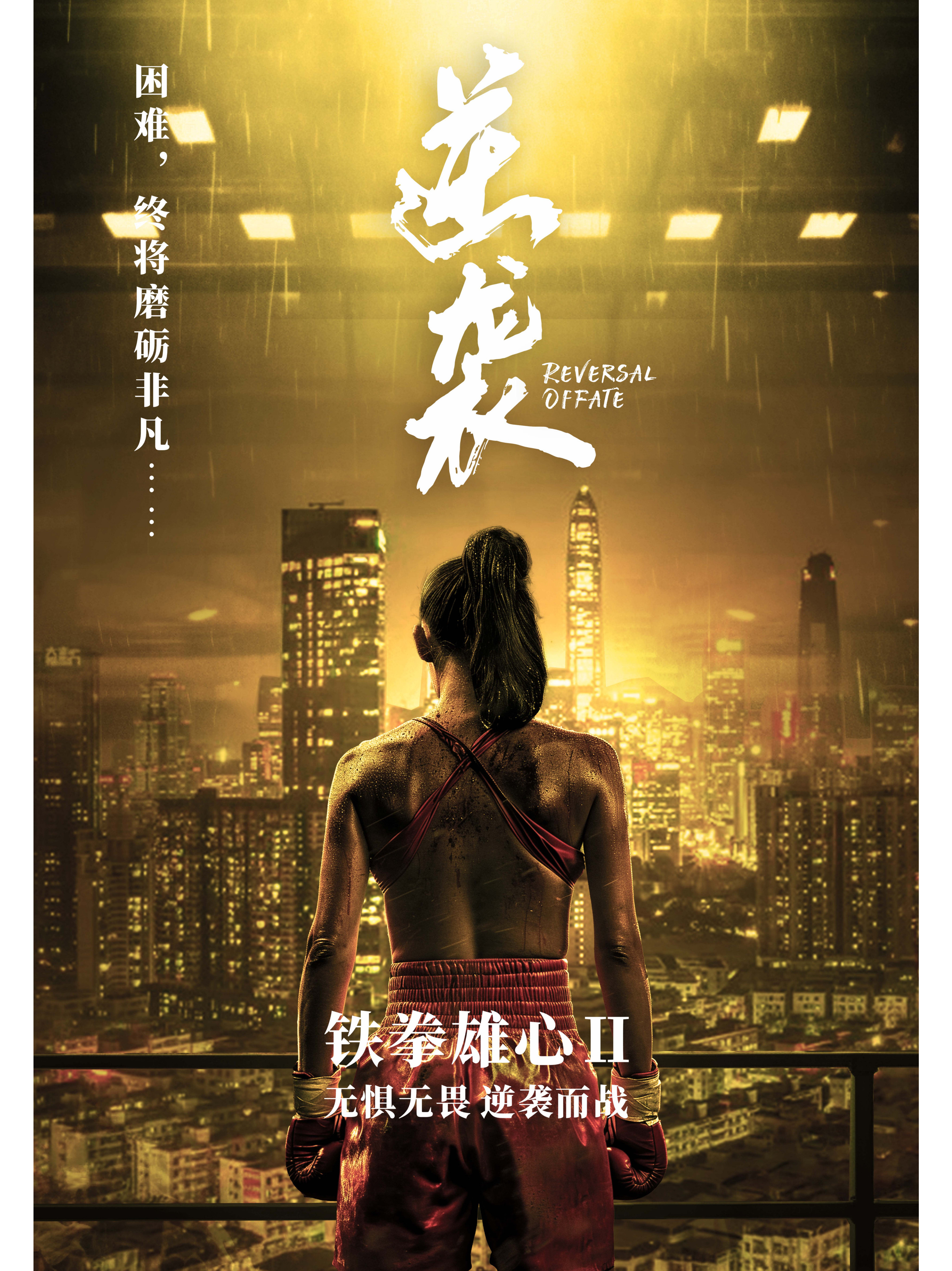 包含逆境中的“铁血硬汉”：坚不可摧的防线故事的词条