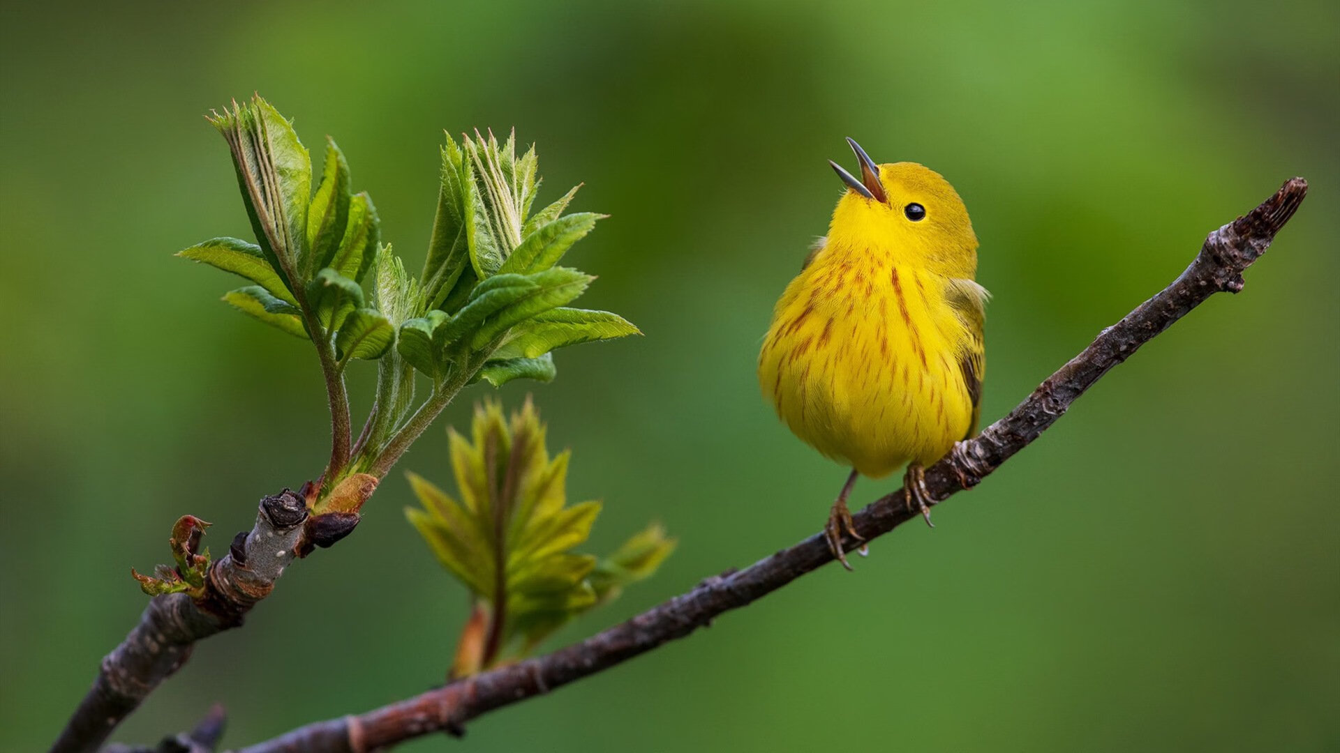 KAIYUN 中国大陆-中超新赛季联赛规则优化，比赛更加公平激烈，中超新赛季赛制