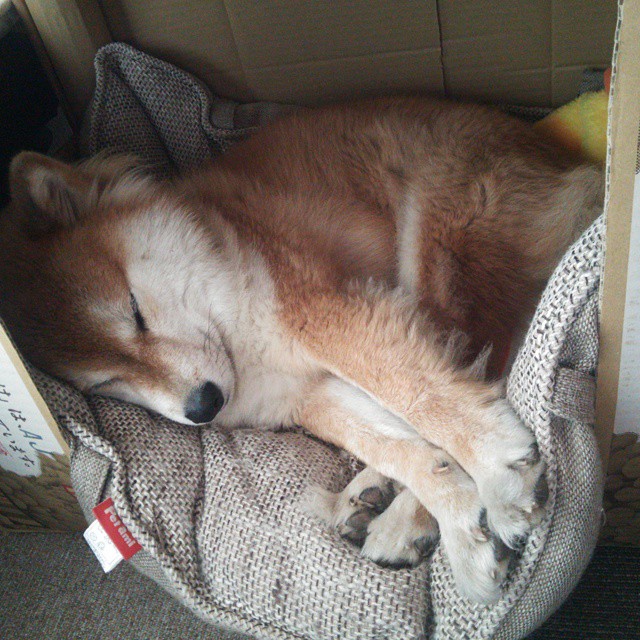 开云·体育全站登录地址-史上最精彩的“团队合作”绝技：“配合无缝”精彩纷呈！，团队合作配合语句