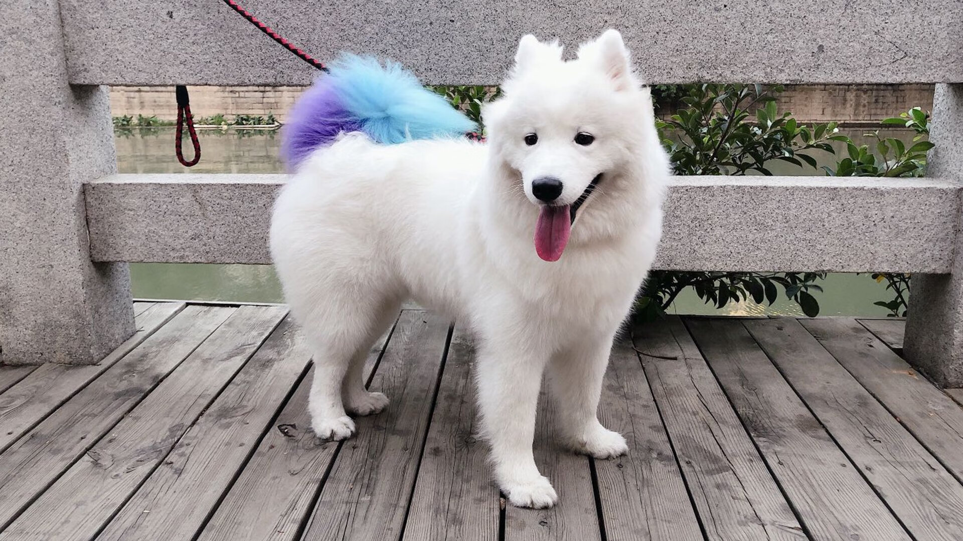 开云官方网页登录-心理战：心理准备在比赛中的关键作用，心理战是什么意思