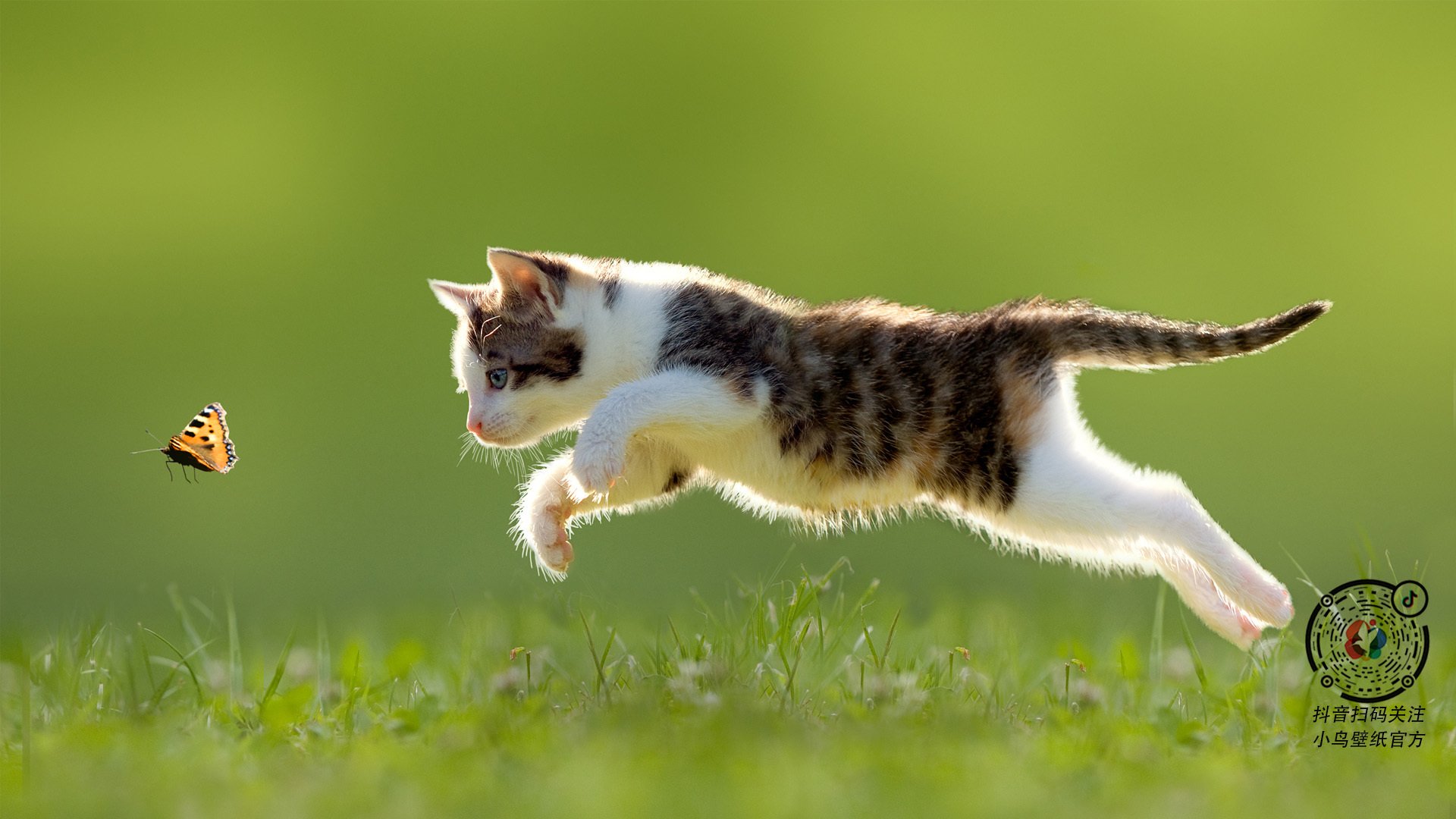 开云·体育官网APP下载-西甲明星球员评选即将开启，激烈角逐最佳球员，西甲足球明星