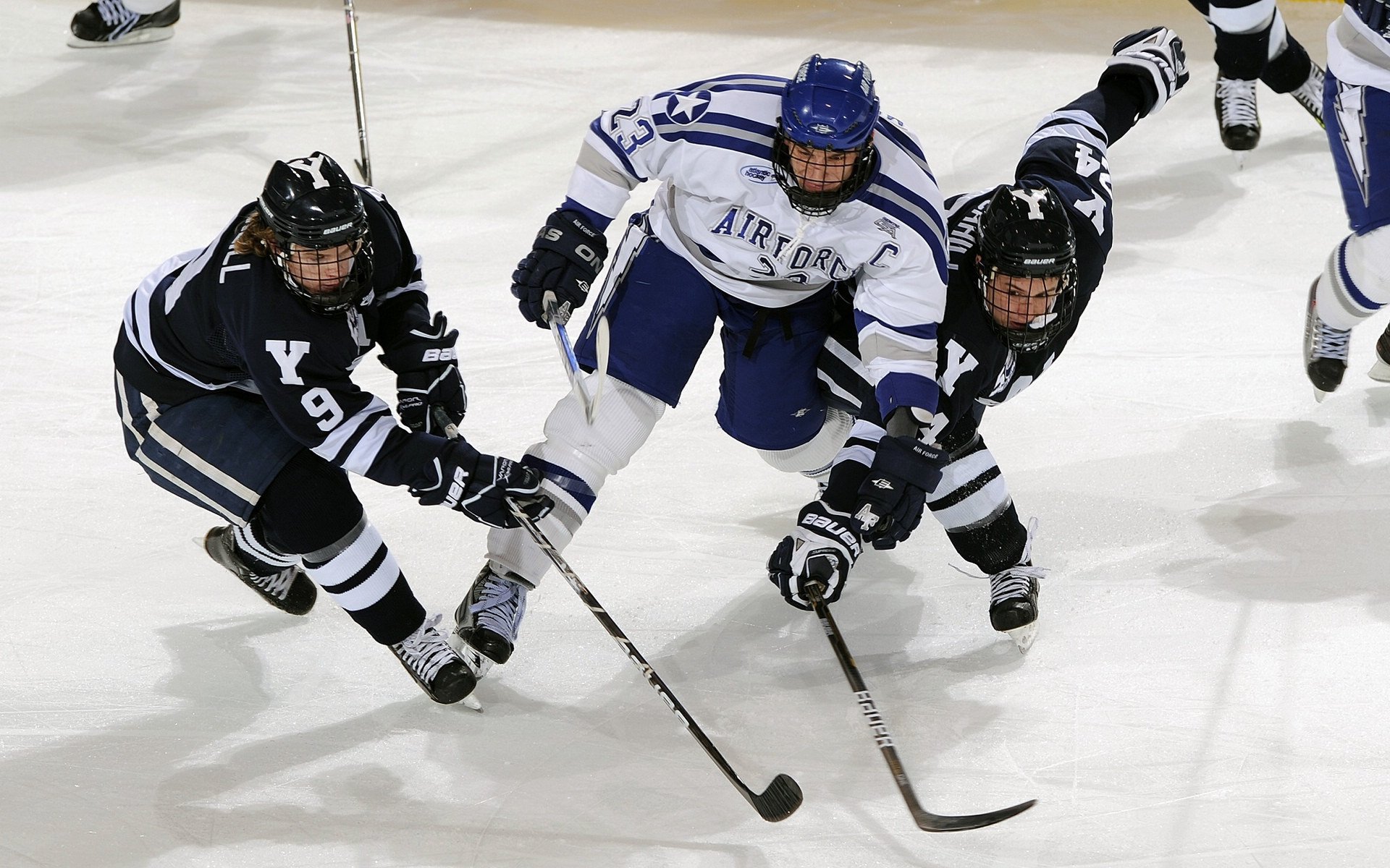 开云全站-亚洲杯赛场上悬念重重，球迷关注热度不减，亚洲杯的比赛