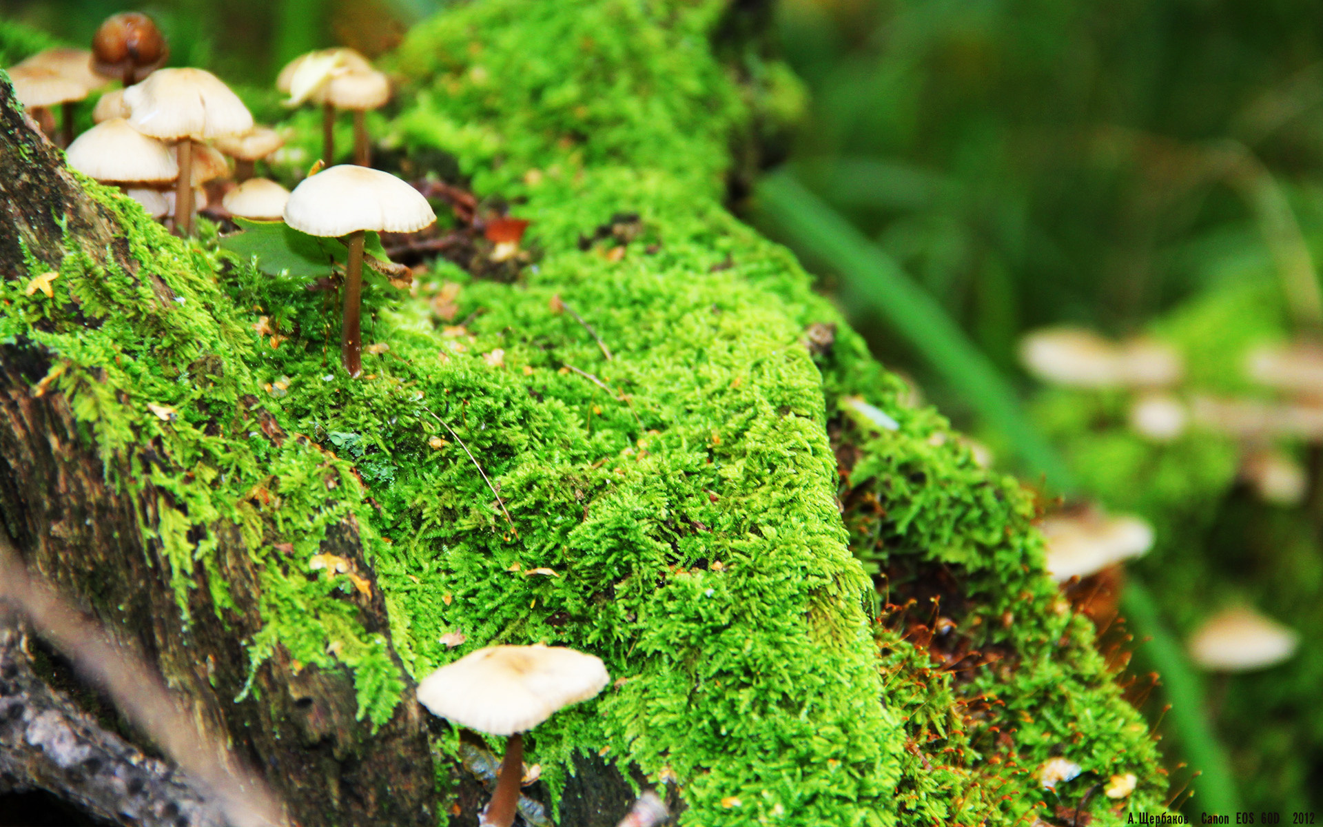 开云·Kaiyun网页版-关键网球比赛技术变化分析，网球比赛技术统计