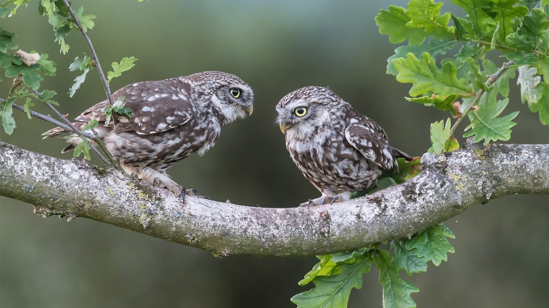 北京北控积极备战新赛季,北控迎来两连胜