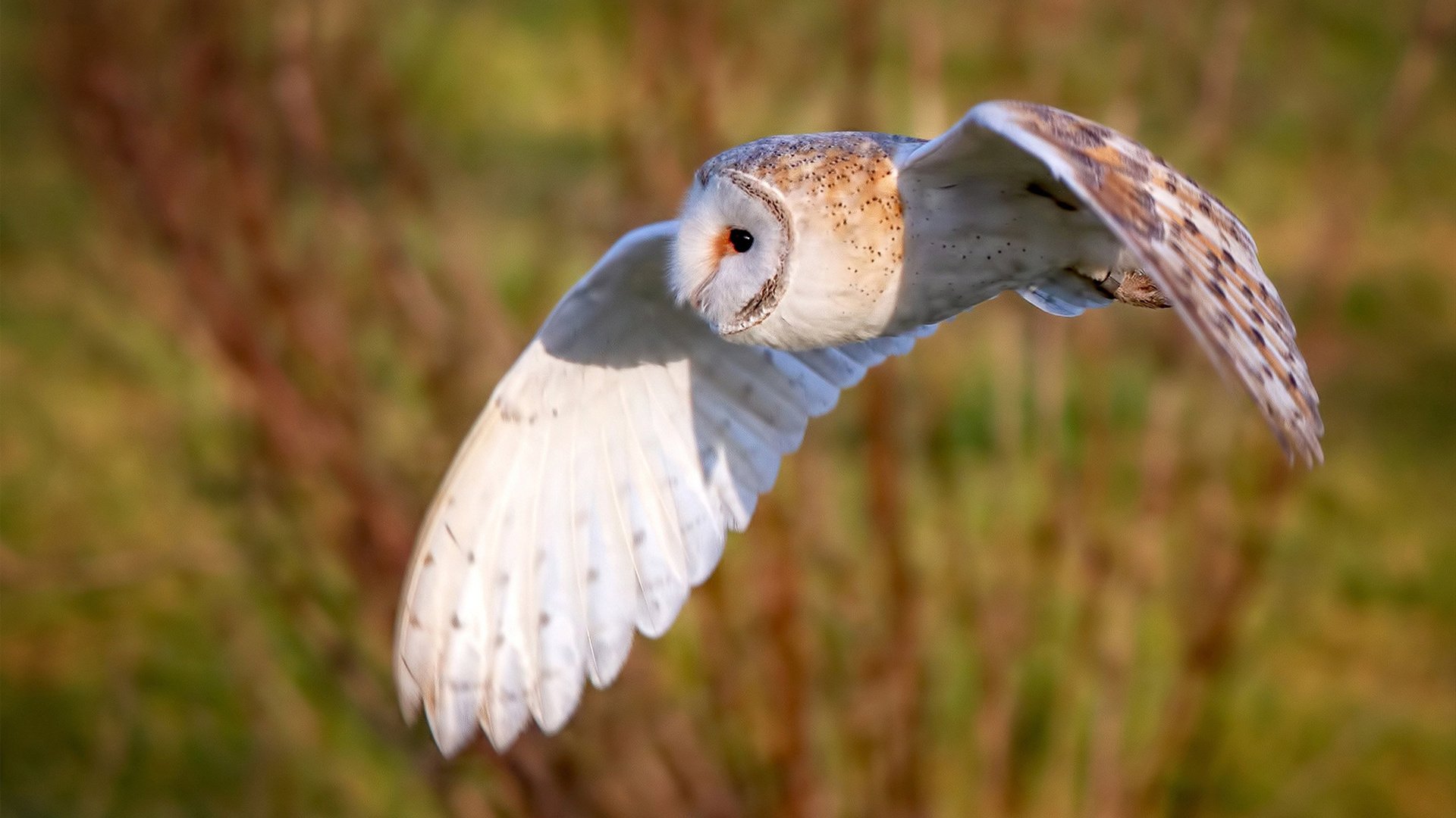 多线作战是否成为中下游球队晋级阻碍，多线并举是什么意思