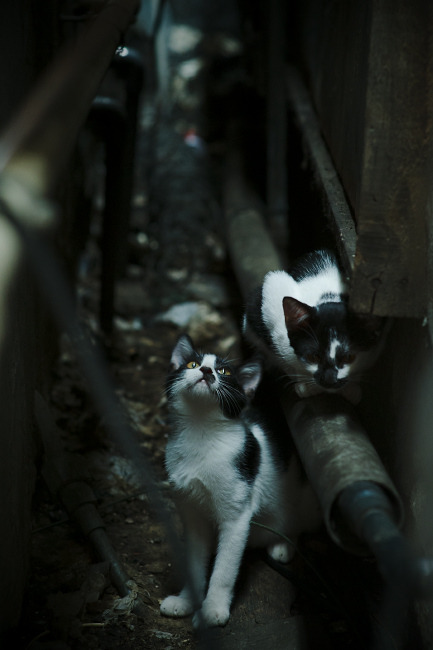 开云官方网页登录-扣人心弦：亚洲杯赛各队备战纷纷，亚洲杯比赛结果迎98db in