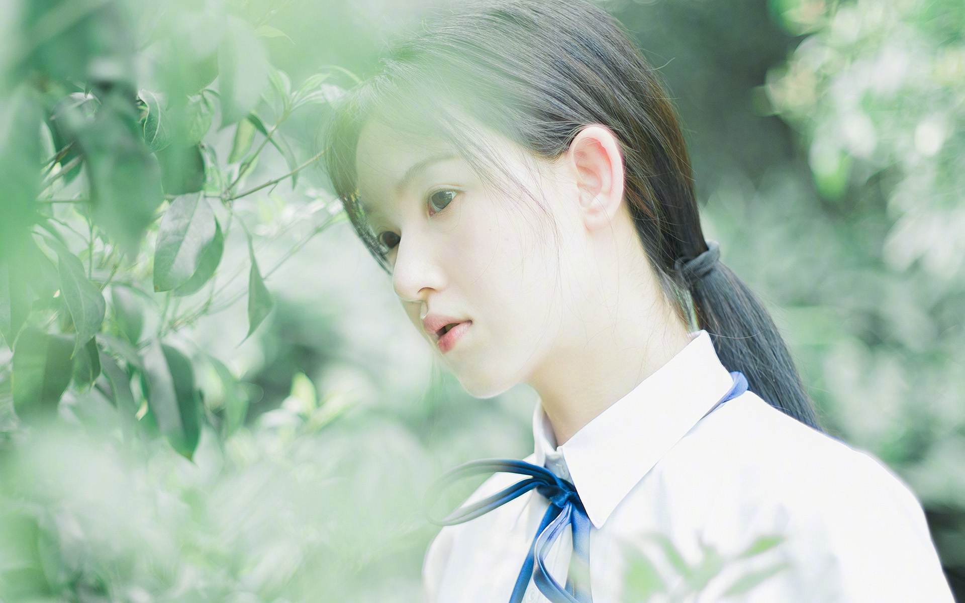 雄鹿队主教练重申团队目标,全力打造王者之师,雄鹿教练是谁