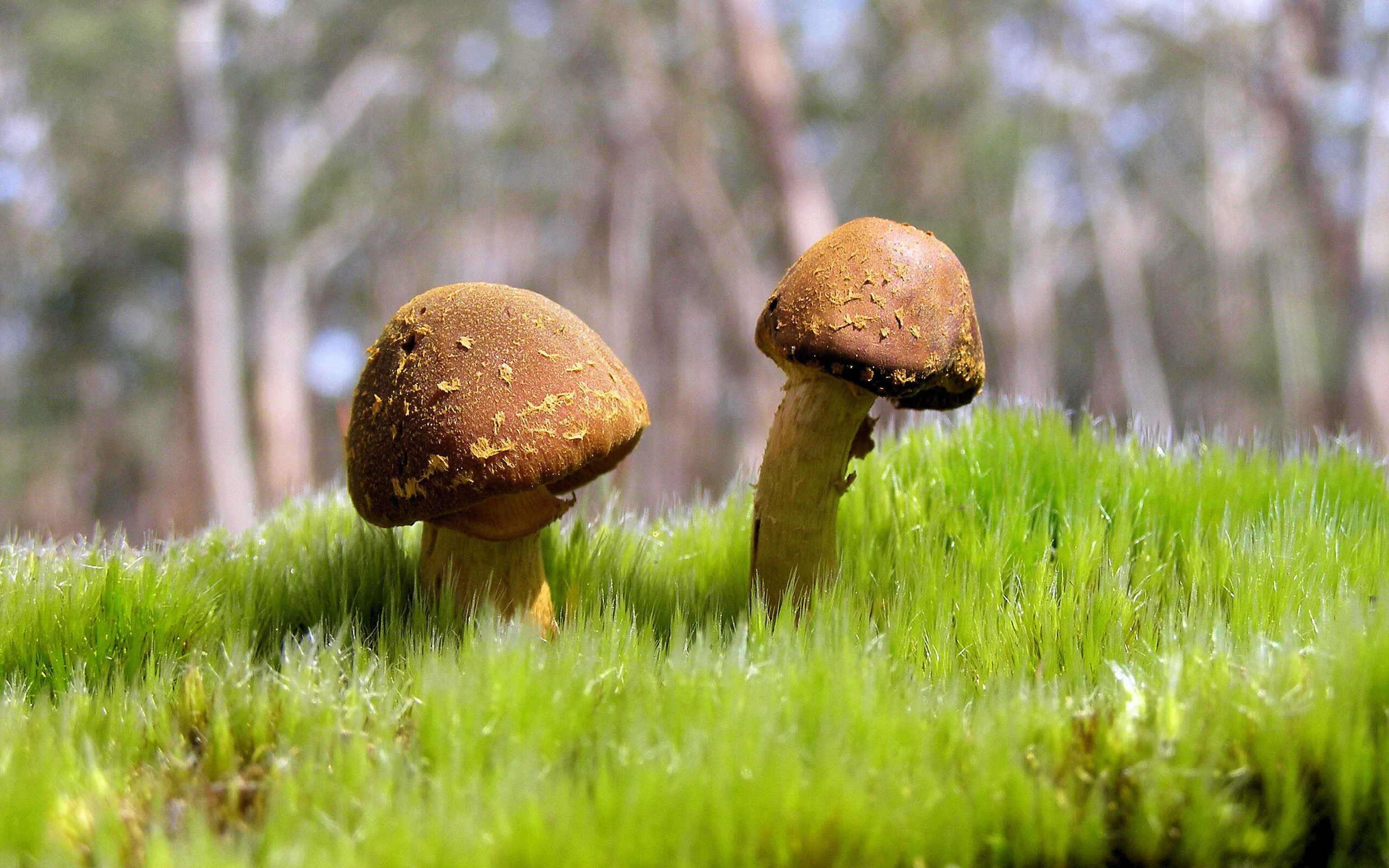 中国篮球职业联赛经济效益分析与评价,中国篮球职业联赛的看法