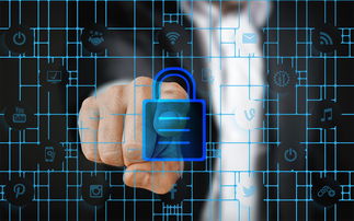 开云APP-数字化体育资源共享平台建设与管理，数字体育平台是什么