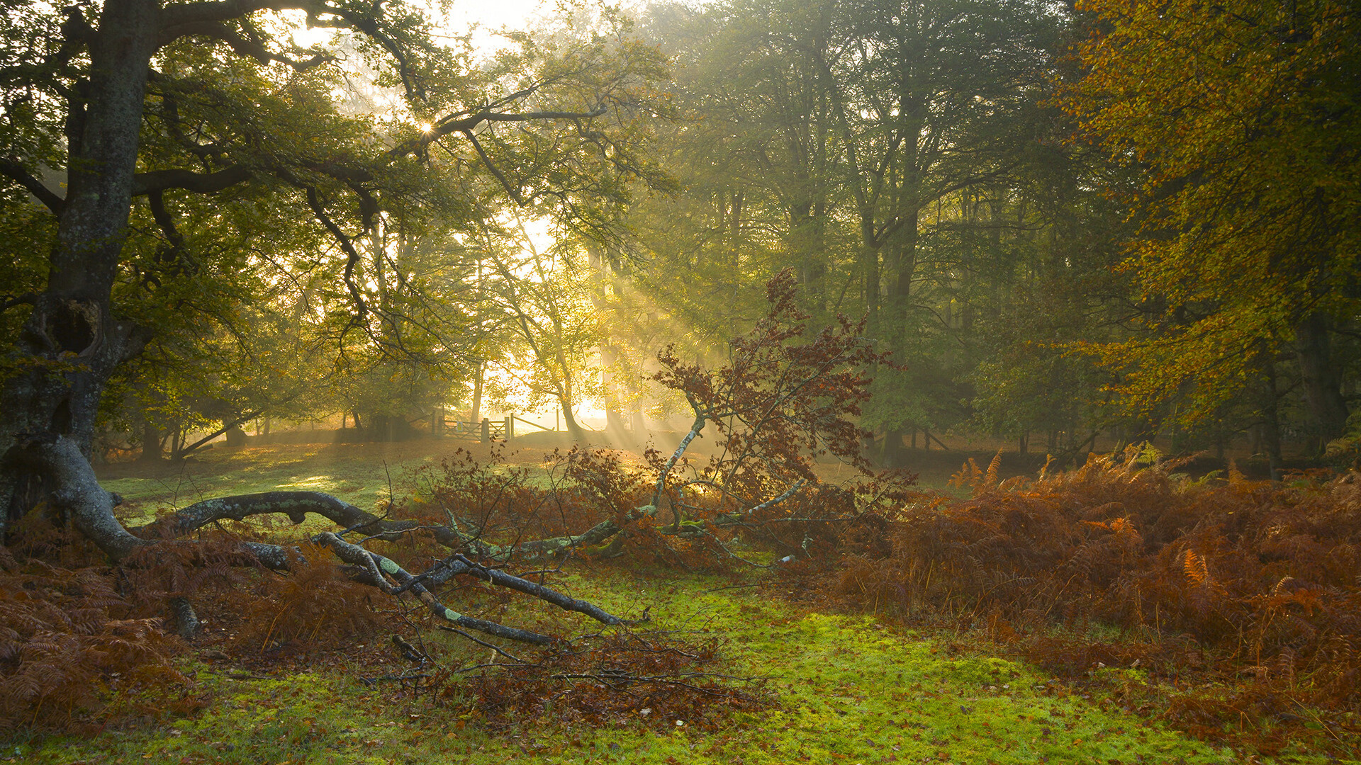 KAIYUN 中国大陆-中国三人篮球男队防守强度提升，中国男篮三人篮球队员是谁