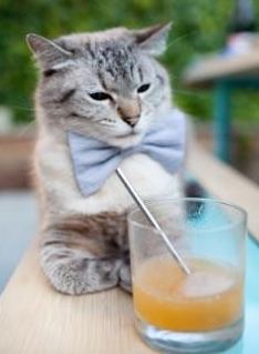 五大联赛是否对边路传中落点精准度加强考核,五大联赛边锋