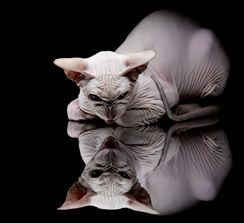 开云官网在线-亚冠联赛中国青年队战平 球员心理素质提升，2021亚冠 青年队