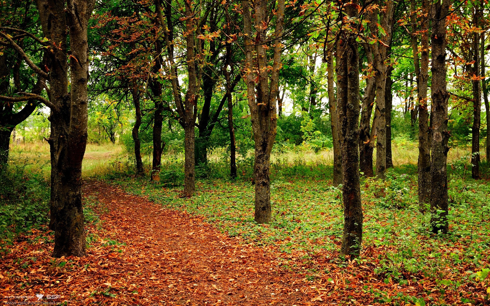 体育新闻中心推动体育短视频版权交易体系完善,体育短视频定义