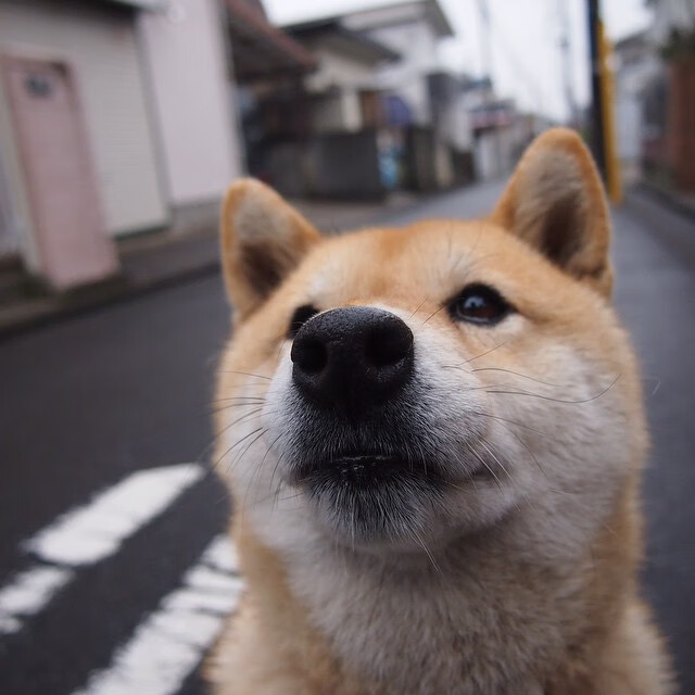 开云·Kaiyun网页版-篮球教育培训行业兴起社会资本密切关注，篮球培训班市场变化趋势