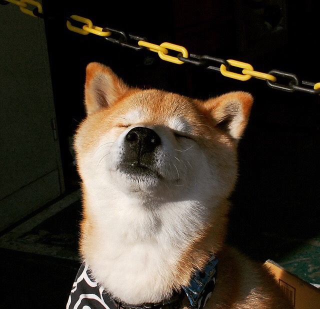 开云首页登录-场边镜头记录球员互动瞬间展现团队温情与默契，球员们在赛场上展现