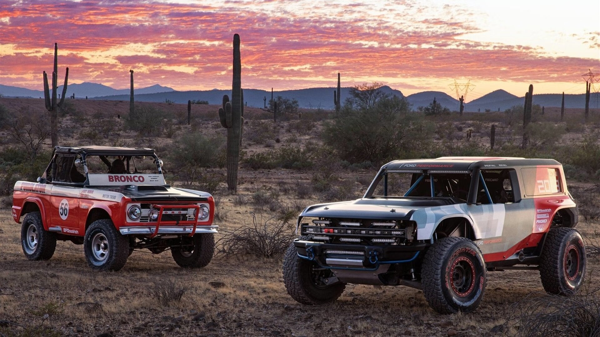 掘金小将加练投篮展现稳定成长势头,掘金打法