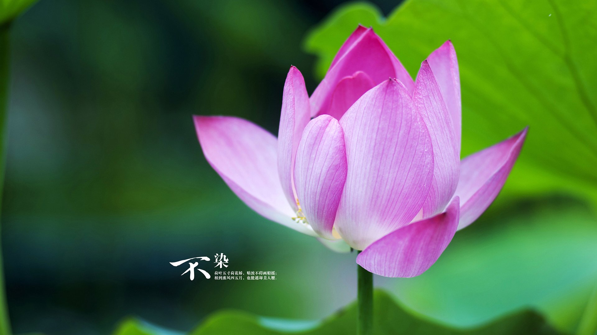 职业联赛鼓励俱乐部多场景赛事内容开发,参加职业联赛