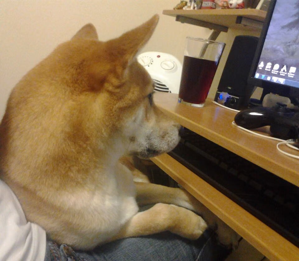 英超终极战:精彩对决每一秒都精彩!,英超精华集锦