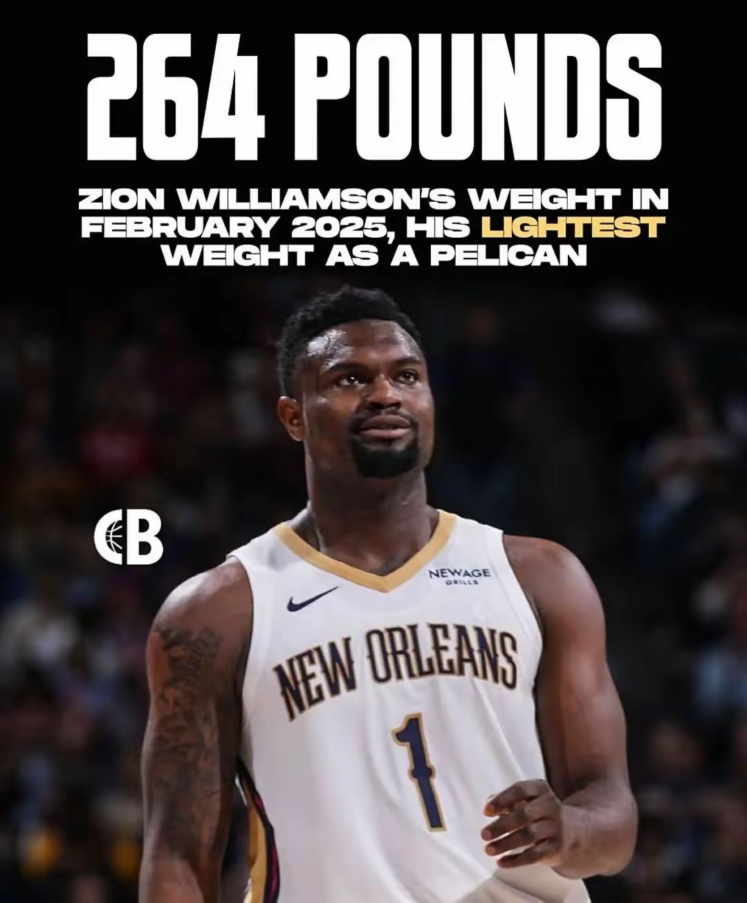 锡安·威廉姆森：新奥尔良的希望的简单介绍